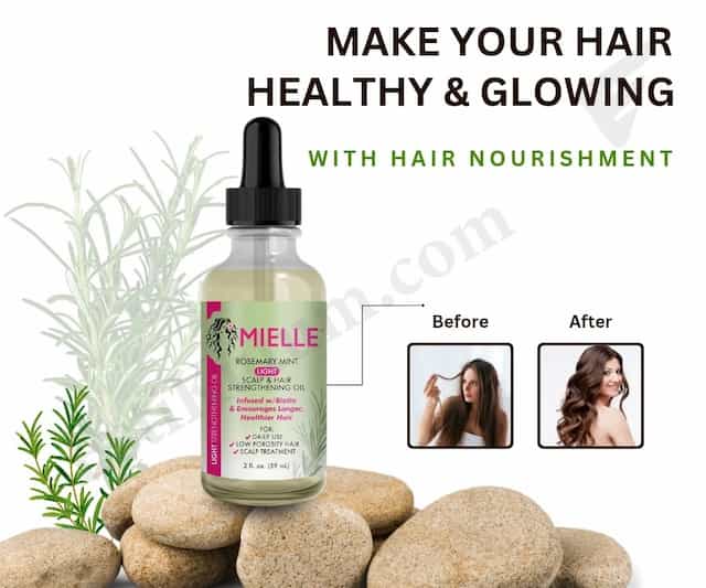 Mielle Rosemary Mint Light Scalp & Hair Strengthening Oil